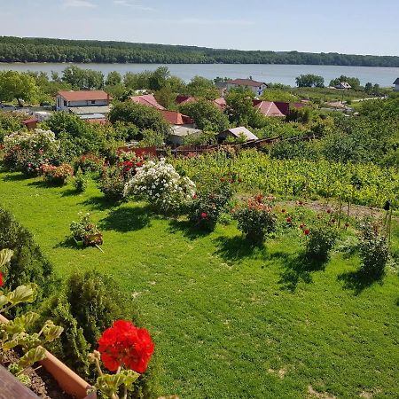 Casa Lac de Verde Băltenii de Sus Extérieur photo