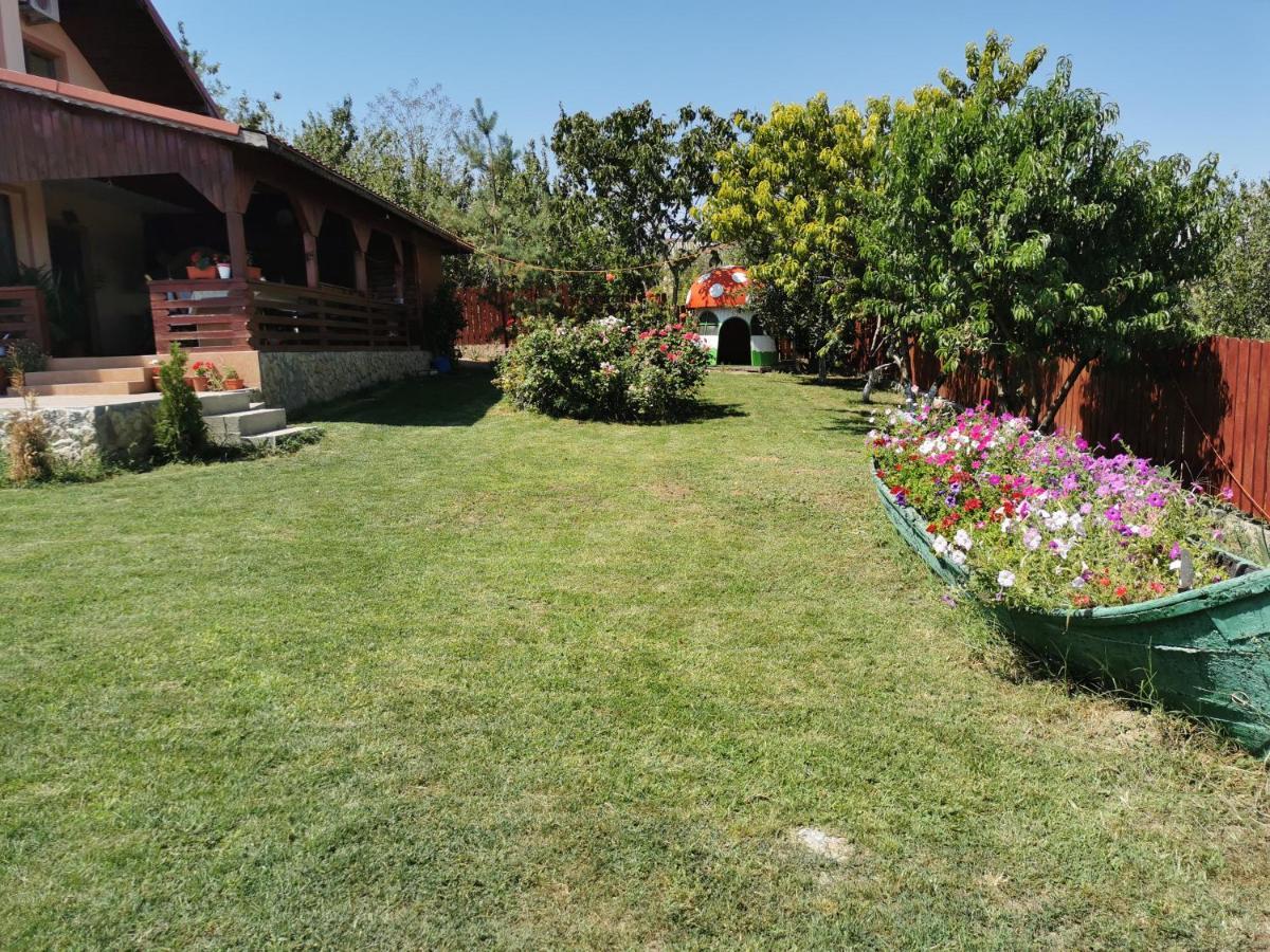 Casa Lac de Verde Băltenii de Sus Extérieur photo