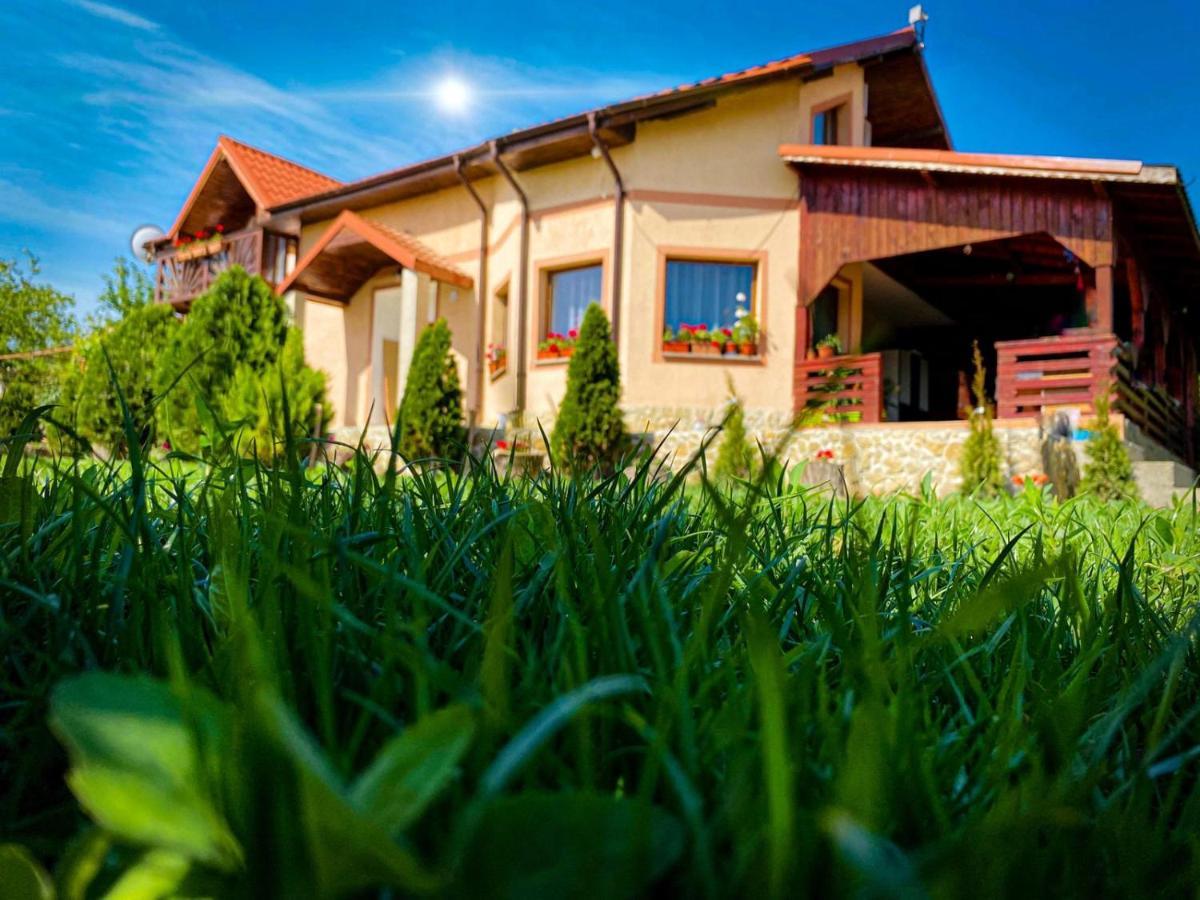 Casa Lac de Verde Băltenii de Sus Extérieur photo