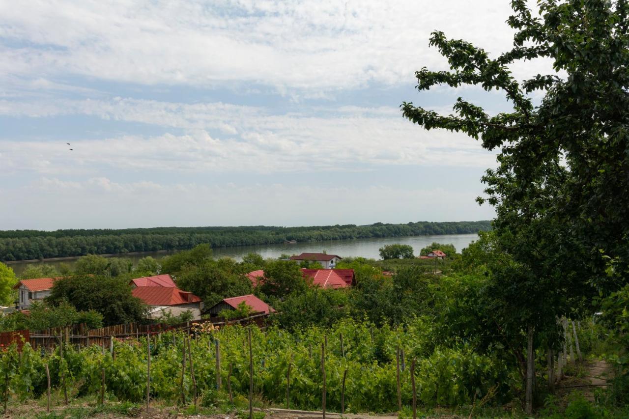 Casa Lac de Verde Băltenii de Sus Extérieur photo