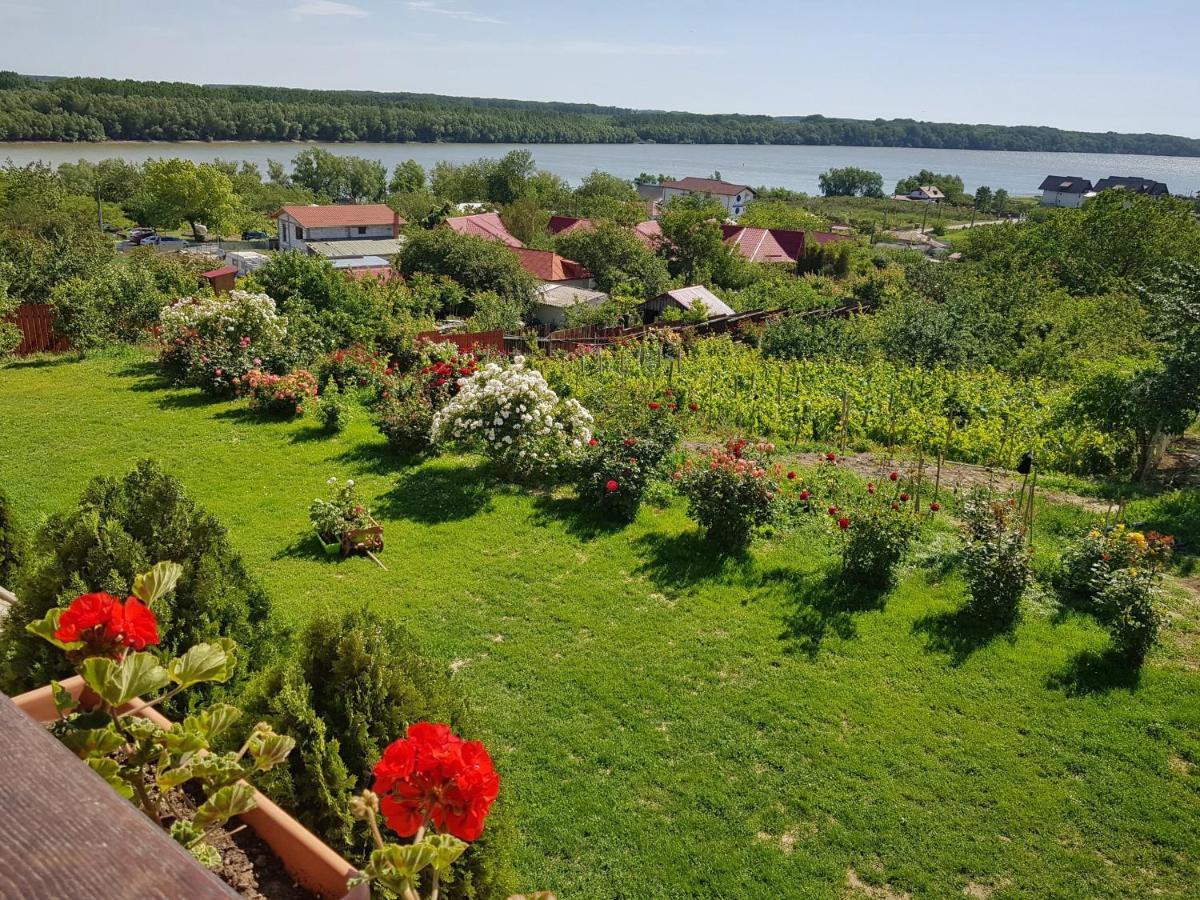 Casa Lac de Verde Băltenii de Sus Extérieur photo