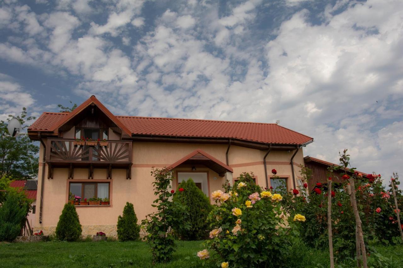Casa Lac de Verde Băltenii de Sus Extérieur photo