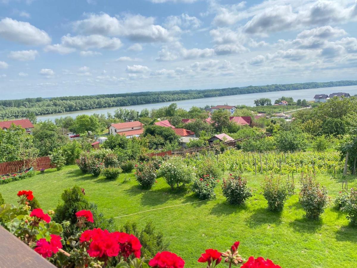 Casa Lac de Verde Băltenii de Sus Extérieur photo