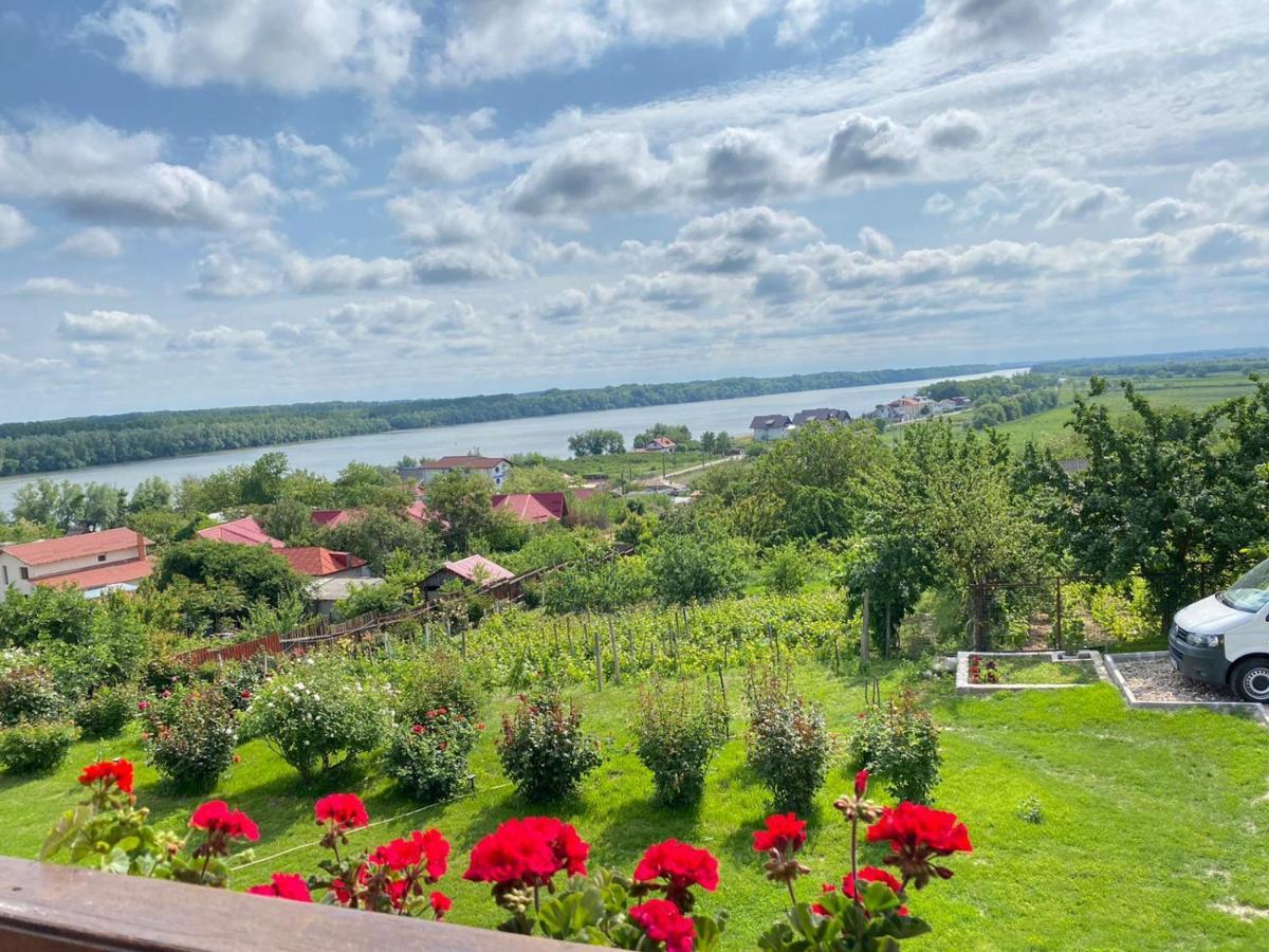 Casa Lac de Verde Băltenii de Sus Extérieur photo