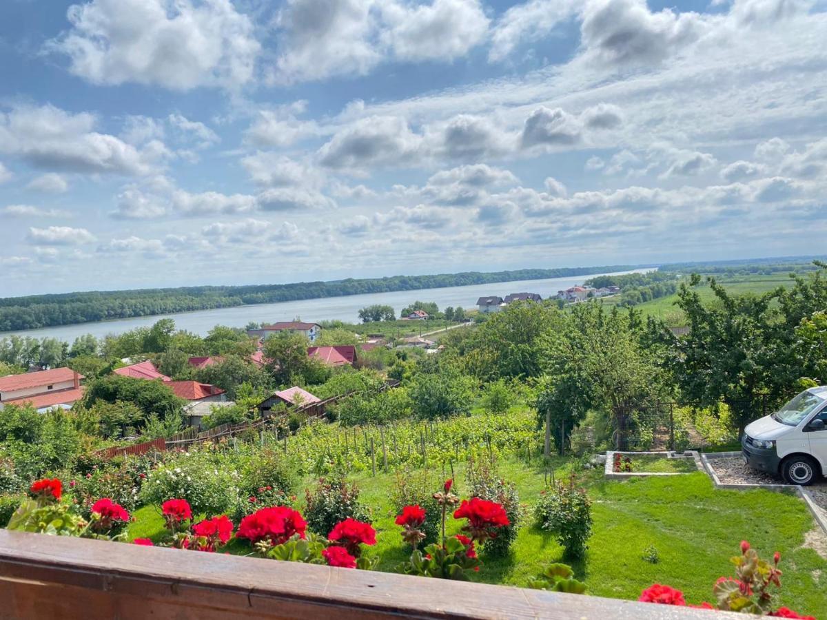 Casa Lac de Verde Băltenii de Sus Extérieur photo