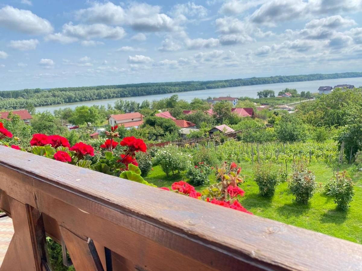 Casa Lac de Verde Băltenii de Sus Extérieur photo