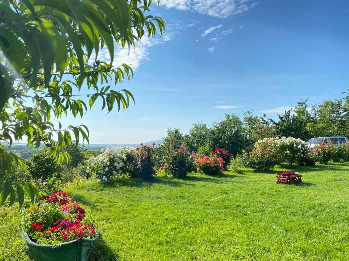 Casa Lac de Verde Băltenii de Sus Extérieur photo
