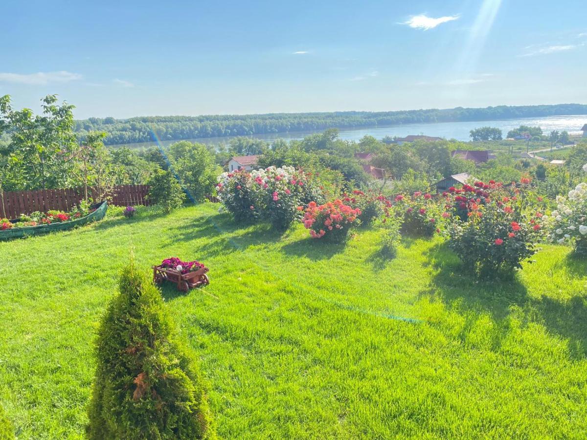 Casa Lac de Verde Băltenii de Sus Extérieur photo