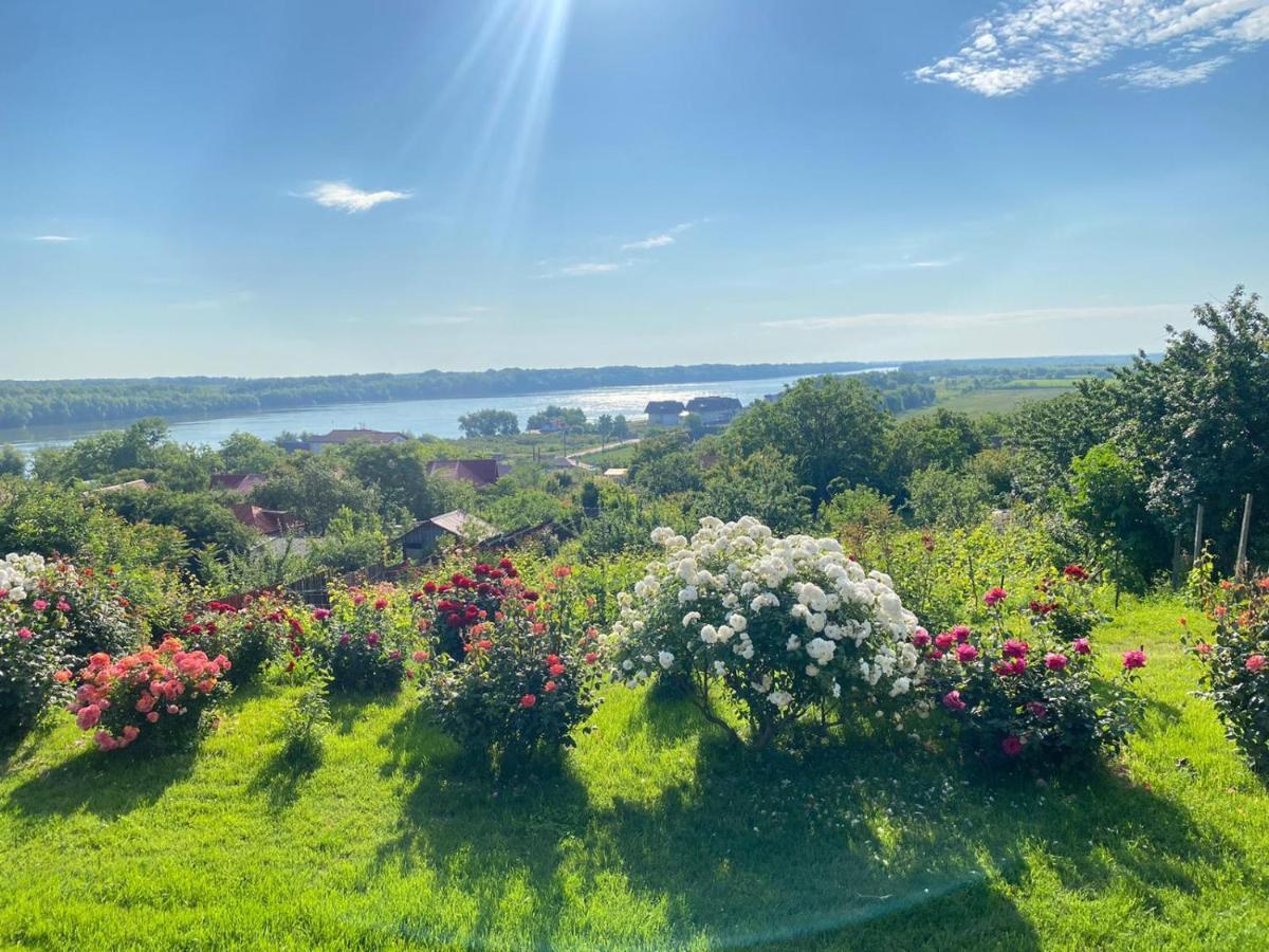 Casa Lac de Verde Băltenii de Sus Extérieur photo