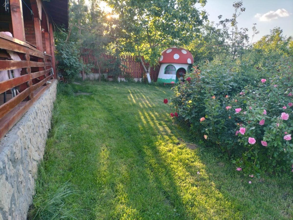 Casa Lac de Verde Băltenii de Sus Extérieur photo