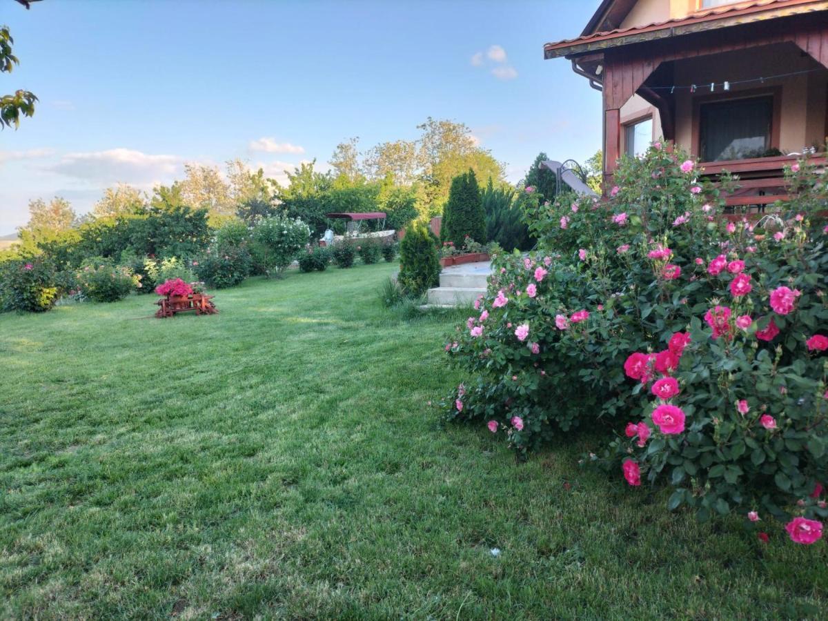 Casa Lac de Verde Băltenii de Sus Extérieur photo