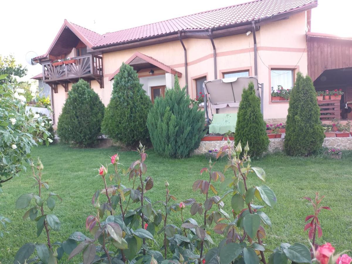 Casa Lac de Verde Băltenii de Sus Extérieur photo