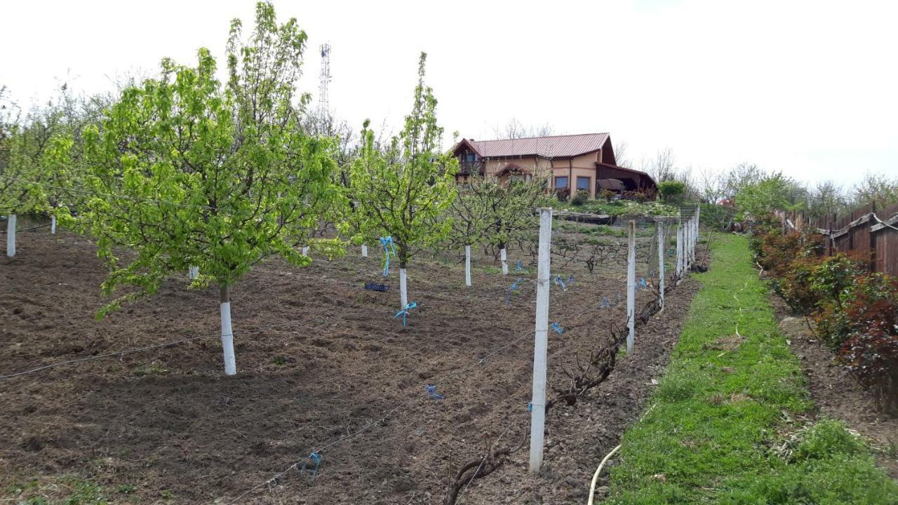 Casa Lac de Verde Băltenii de Sus Extérieur photo